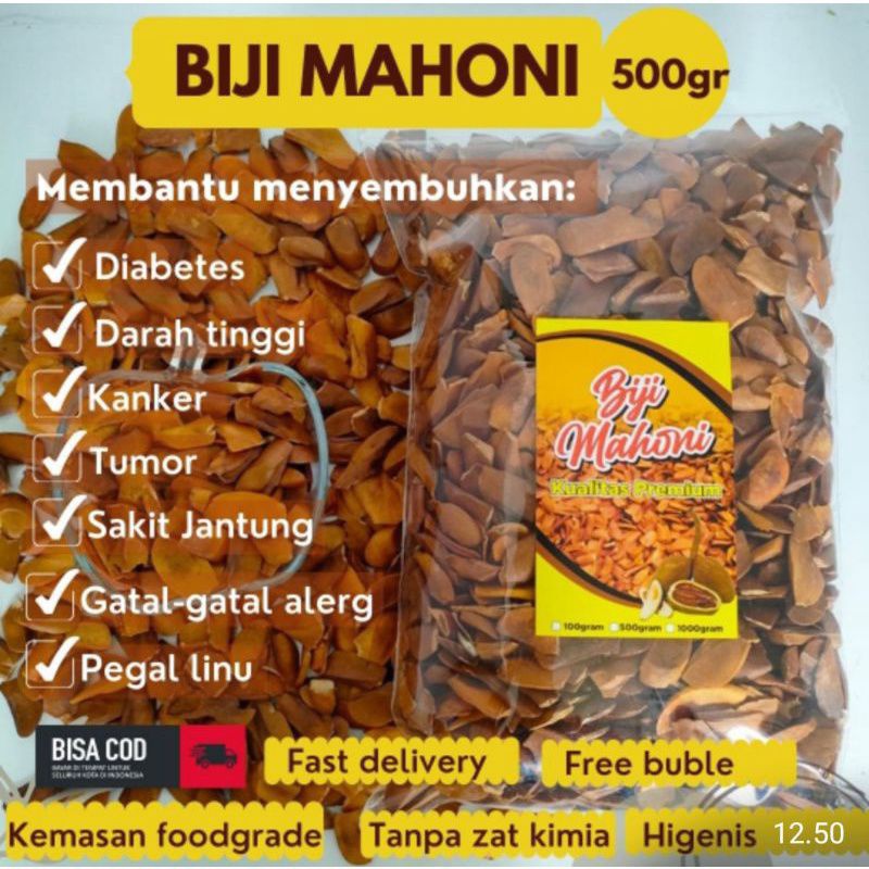 buah mahoni premium