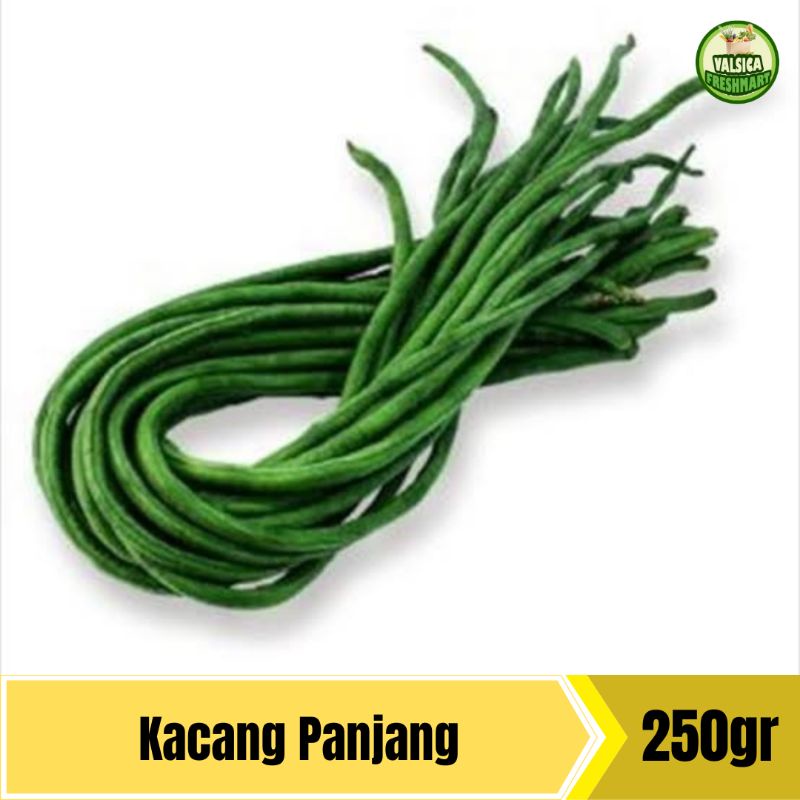 

Kacang Panjang Segar