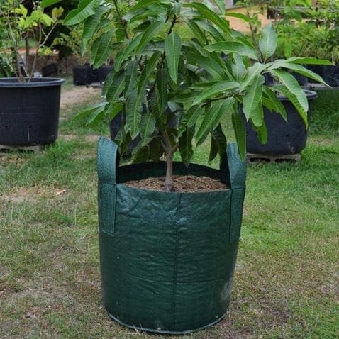 Kantong Tanaman Planter Bag 300 liter