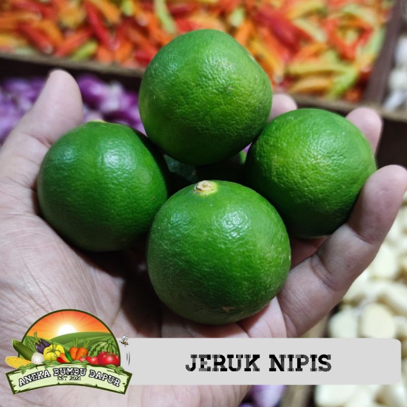 

jeruk nipis