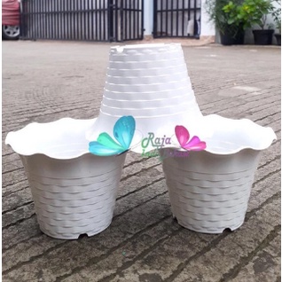 SUN FLOWER MDN 10cm WARNA WARNI Pot bunga Kecil Mini Pot Kaktus TERMURAH Pot Kaktus Mini Aesthetic Besar Keramik Lucu Plastik Gerabah 10cm