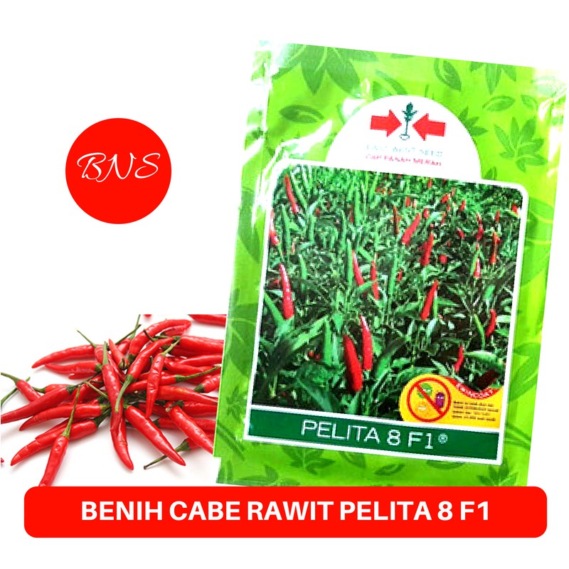 BenihBibit Cabe Rawit Hijau Pelita 8 F1 - Cap Panah Merah Berkualitas - Banuata