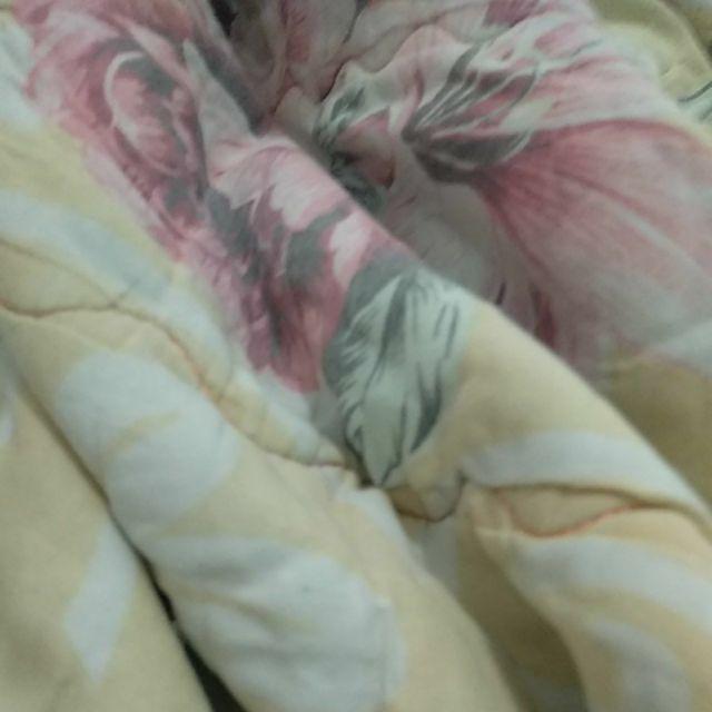 Tempat Sikat Gigi Ladybug