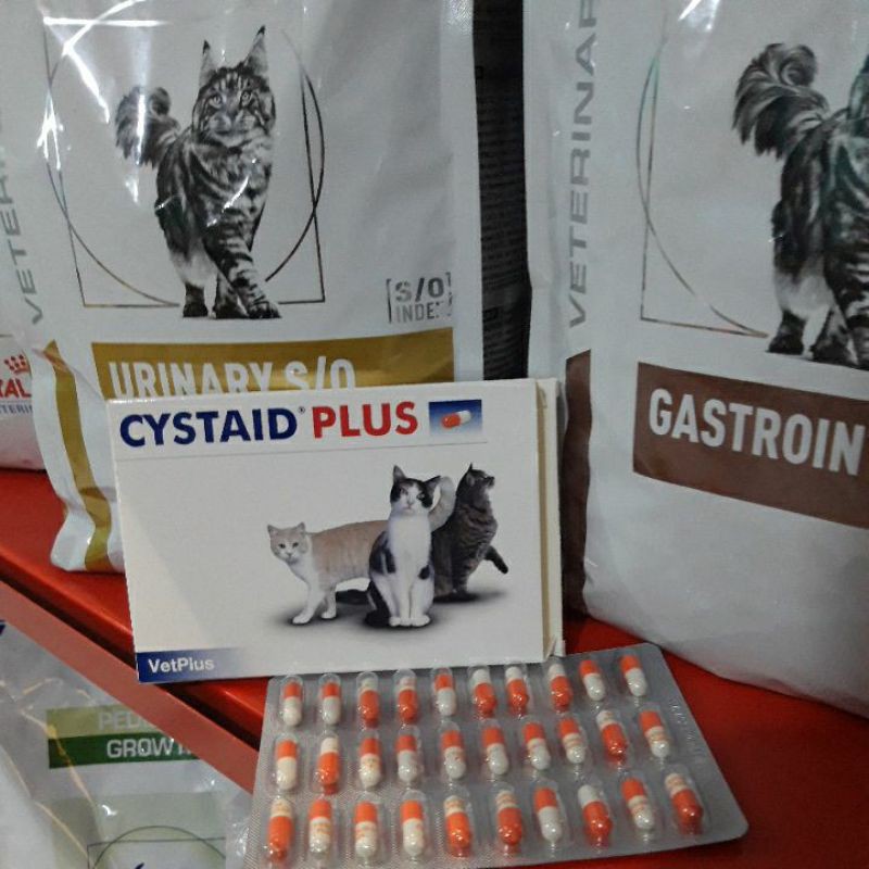 Cystaid Plus (vet plus) 1 stip isi 30 Capsules / Obat Saluran Urin Kucing Cystaid plus