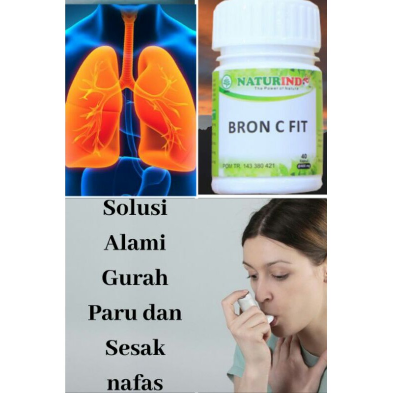 Obat Asma Sesak Nafas Berat Tersendat Ganguan Pernafasan Gurah Paru Paru Herbal Alami Ampuh Original-4