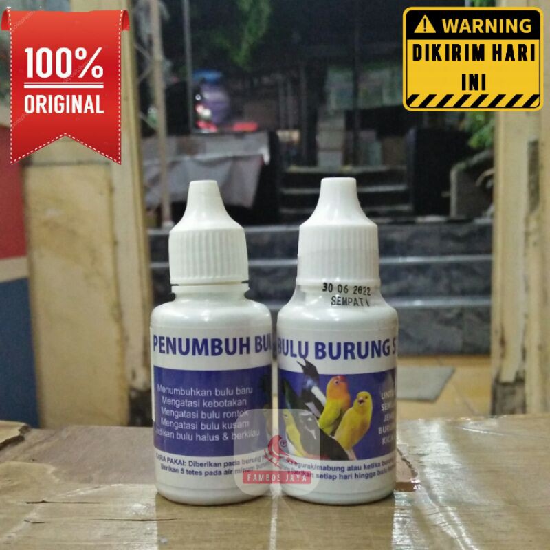 Obat Penumbuh Bulu Burung Rontok Brondol dll