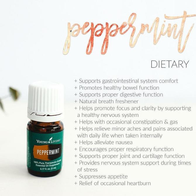 Peppermint Young Living 15Ml Dragonshop10