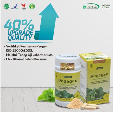 Kapsul Herbal Pegagan TAZAKKA isi 60 kapsul - Brain Nutrion Meningkatkan Kecerdasan Otak Nutrisi Anak Suplemen Anak Cerdas