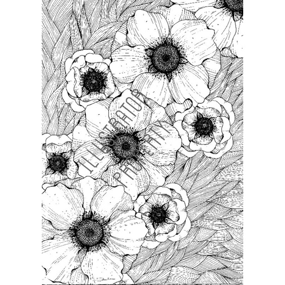 

Coloring Sheet/Lembaran Mewarnai "Anemone" by Putu Desi Wulandari