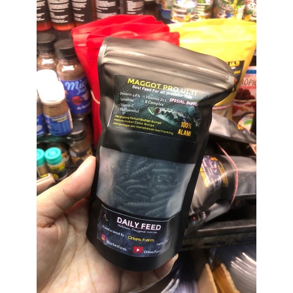 Maggot Pro Ulti Black / Special Black