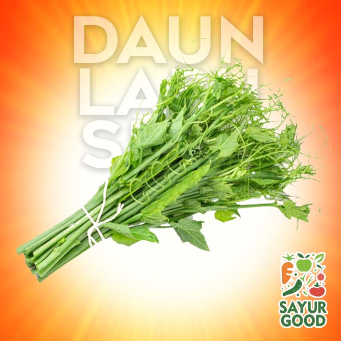 

Daun Labu Segar / Pucuk Labu / Daun Labu / Ikat