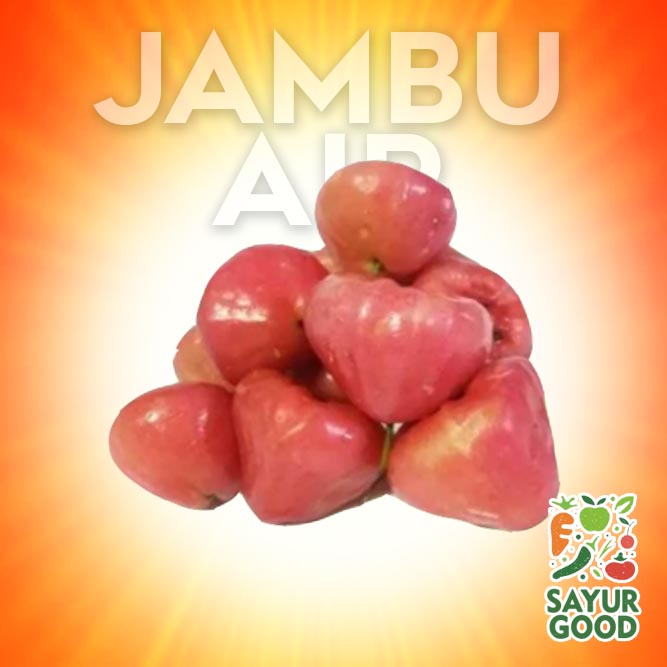 Jambu Air Merah Segar / Buah Jambu Air / 1 Kg (Buah Segar)