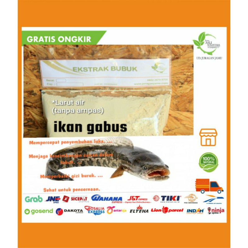 

ikan Gabus Ekstrak bubuk 1 kg serbuk/ kutuk Albumin 1000 gram