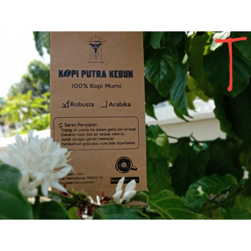 

Kopi Robusta Original 100%