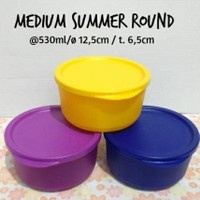 1 PC - Summer Go Round Tupperware