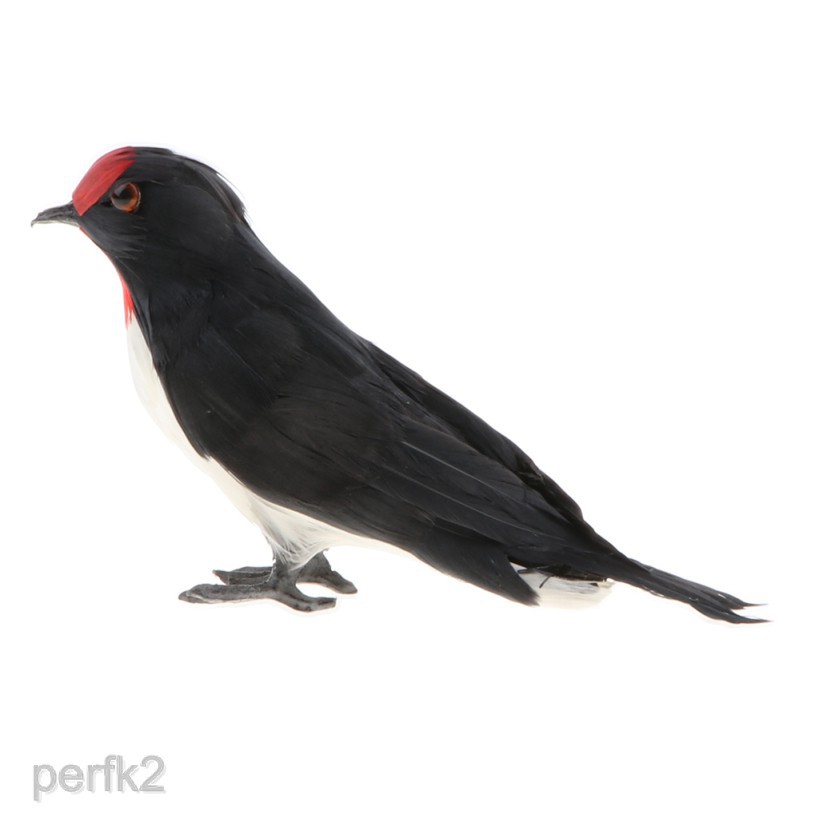 Mainan Simulasi Hewan Burung Untuk Dekorasi Shopee Indonesia