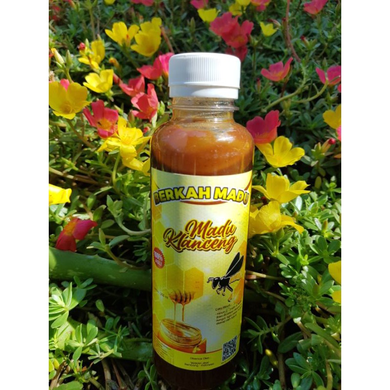

Madu Klanceng, Madu Murni, Madu Asli, Madu Trigona, Trigona leave, Madu Alam, Madu Kesehatan