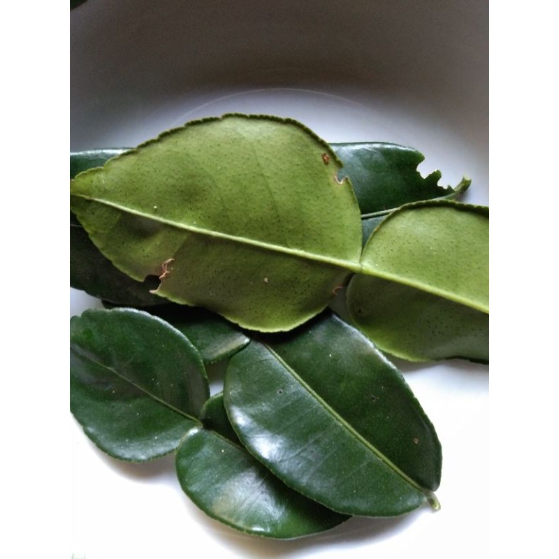 

Daun jeruk purut segar kemasan kecil