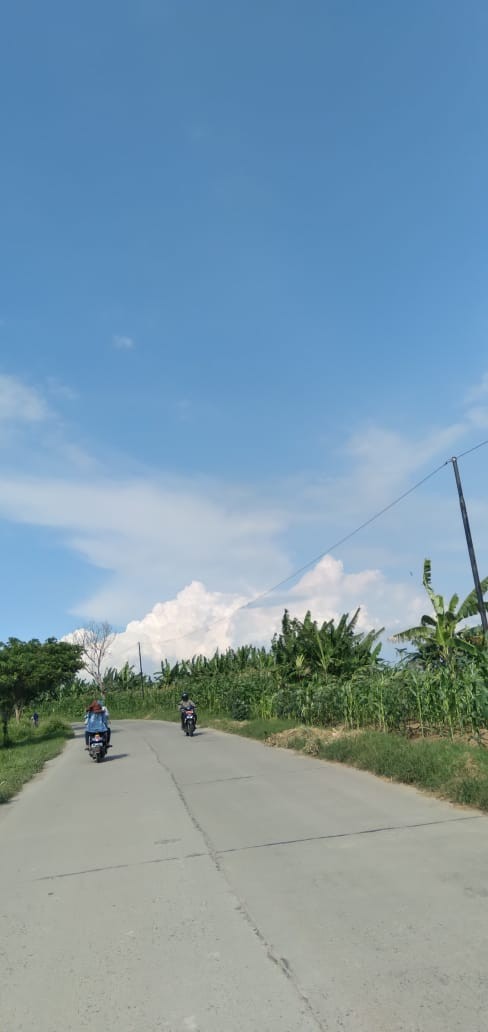 Holder Lampu Dengan Soket Payung E27 Single Lamp Holder With Socket Umbrella