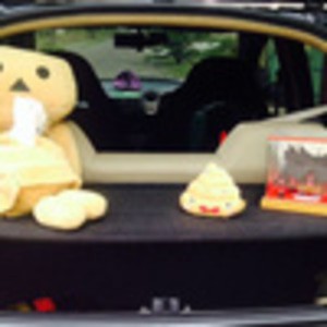 Rak Bagasi Honda Brio dan Brio Satya