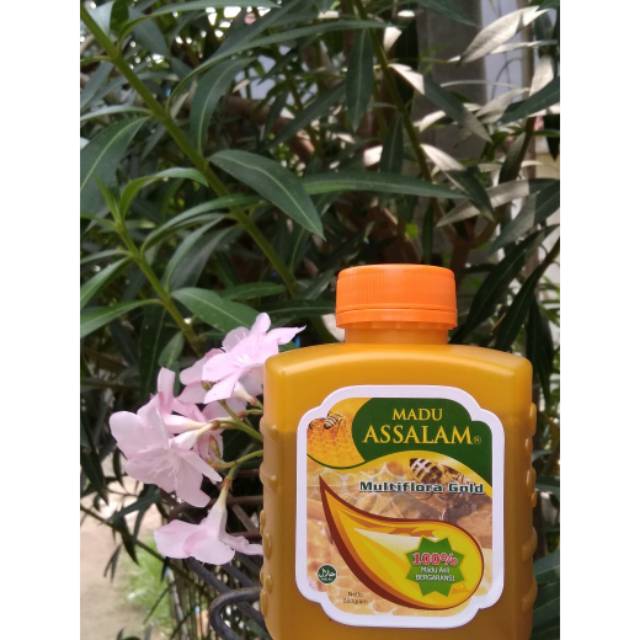 

Madu Assalam Asli 500 gr