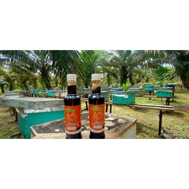 

Umega Honey Madu Murni Asli Jambi 500g