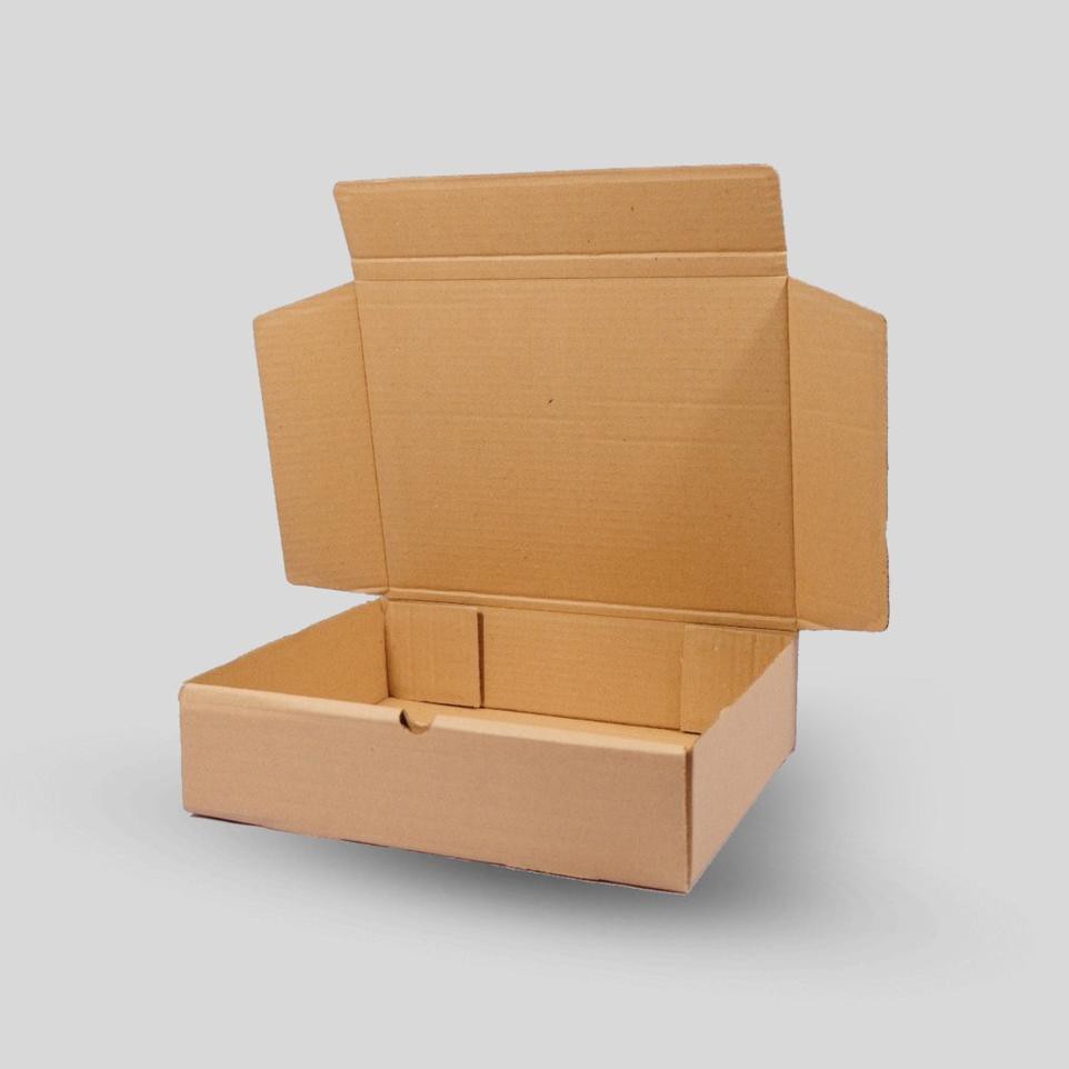 

Box Kardus Packaging Mailer Polos Coklat - Ukuran 30 x 22 x 7.5 cm || #2006-10 (KODE 89)