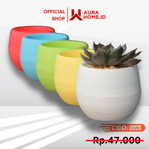 Mini Pot Bunga Hias Kaktus Tanaman / Pot Bunga Mawar Aglonema Kaktus Tanaman Cabai Cabe Tomat Hidup 