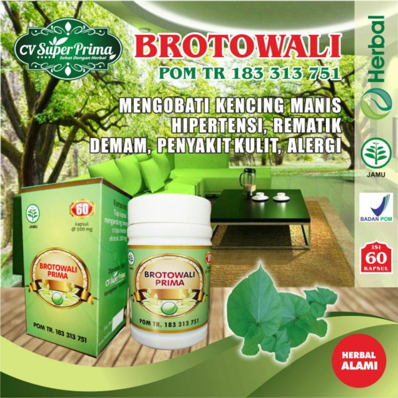 

BROTOWALI Cv super prima isi 60 kapsul TR