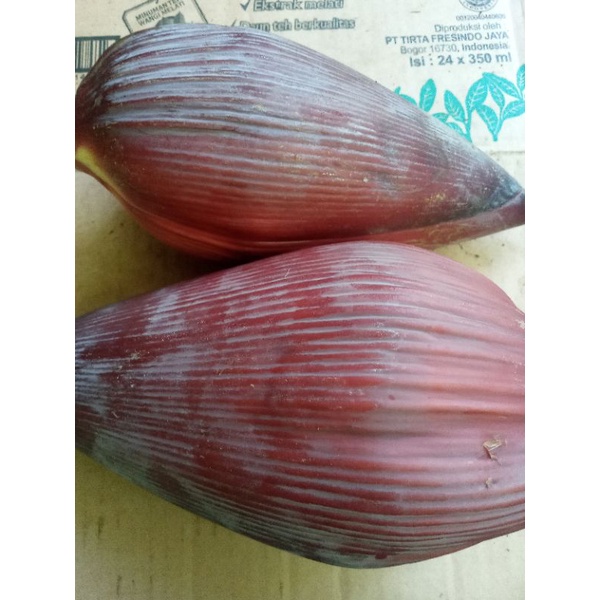 jual jantung pisang batu atau kluthuk press segar