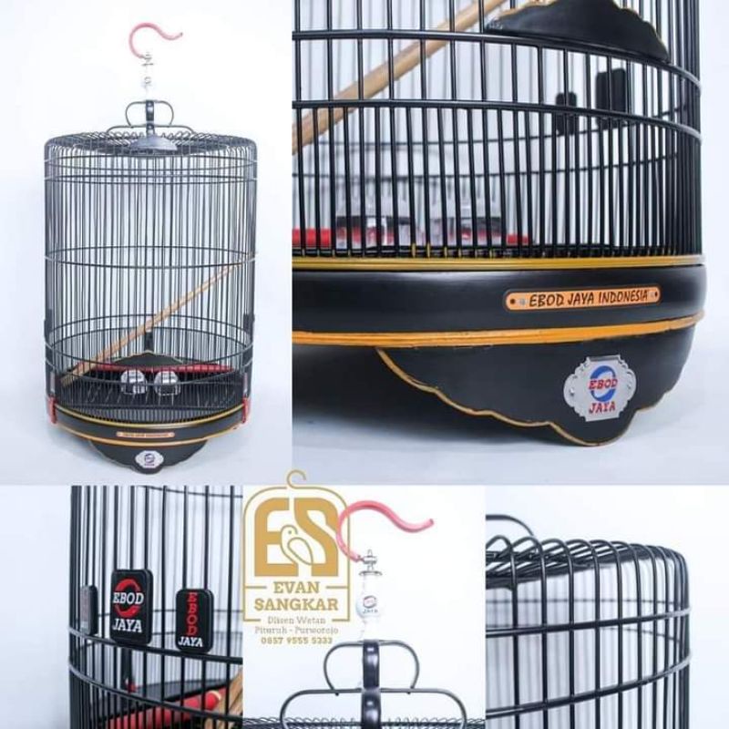 Sangkar murai Ebod jaya terbaru no 2 D 58 doff