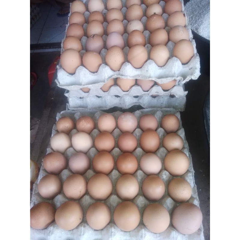 

Telur ayam | telor ayam 1kg