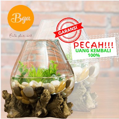 SIZE M Aquarium ikan cupang/kaca tiup/fas vas bunga kaca aquascape Aquarium alas kayu Pot kaca tiup