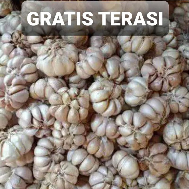 Bawang Putih Biasa Bumbu Dapur Sayur Sayuran Segar Cirebon