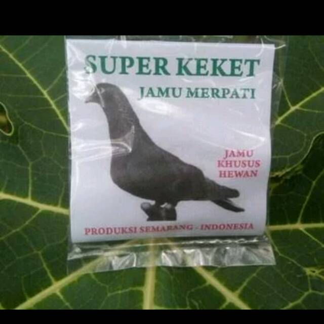 

SUPER KEKET MERPATI