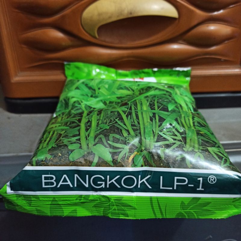 BENIH KANGKUNG BANGKOK LP-1 1 KG PANAH MERAH