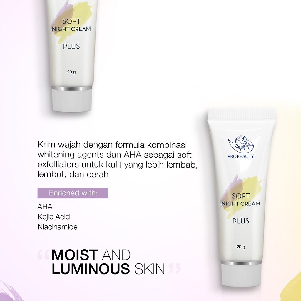 PROBEAUTY SOFT NIGHT CREAM PLUS (TUBE) 20 gr / Whitening boster