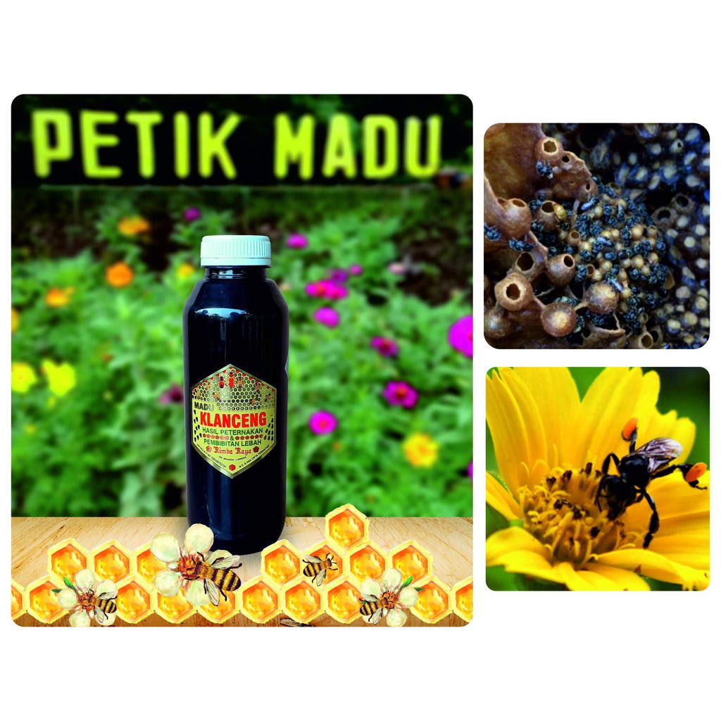 

Madu Klanceng 500 ml kemasan botol plastik