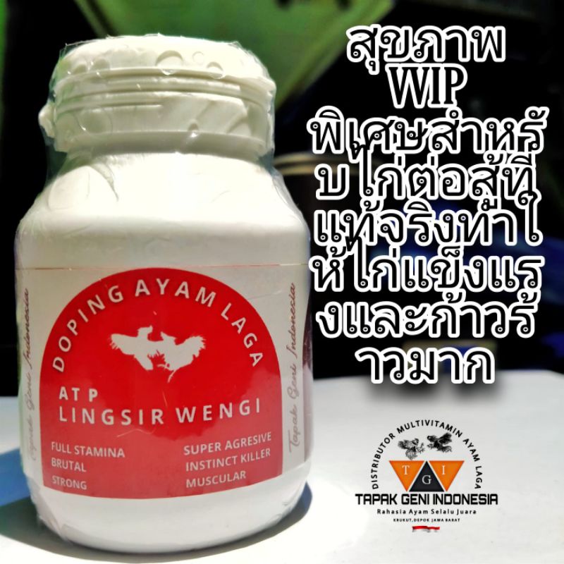 ATP-LINGSIR WENGI KAPSUL DOPING AYAM LAGA