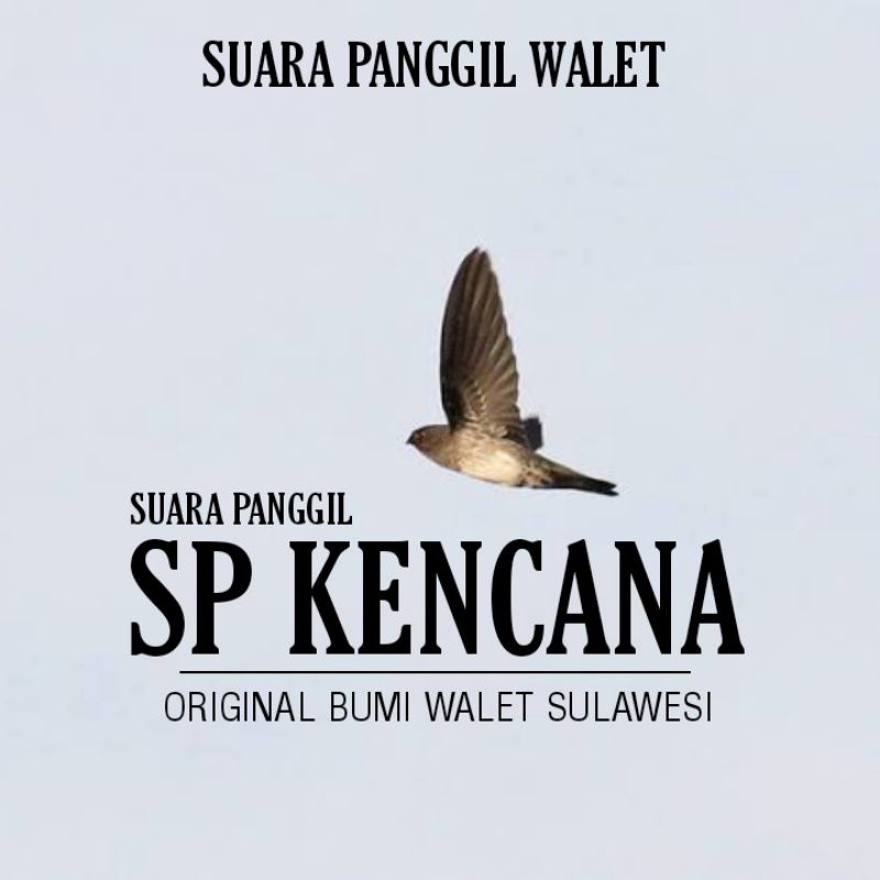 SUARA PANGGIL WALET - SP KENCANA || ORIGINAL BUMI WALET SULAWESI