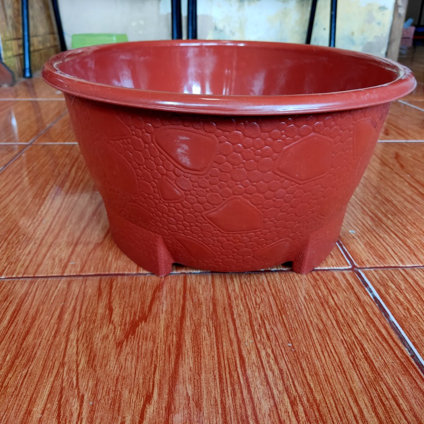 Pot Bunga Bonsai Ov10