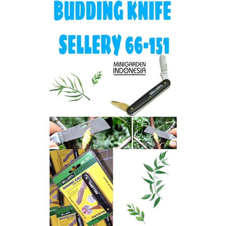 Budding Knife Pisau Okulasi Sellery 66 - 151 Stek Cangkok