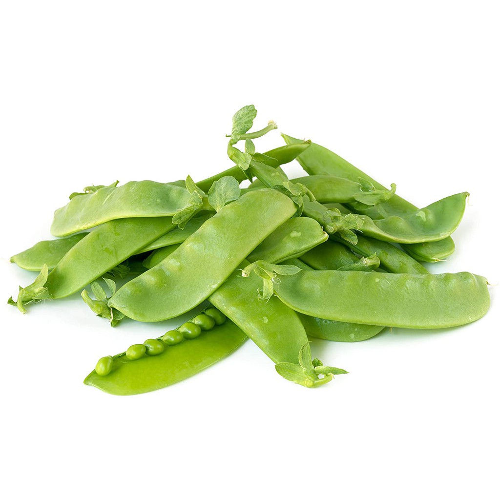 Benih Bibit Biji - Kacang Kapri Polong Pipih Snow Pea Taichung No. 11 Seeds - Panen Dalam 65 Hari