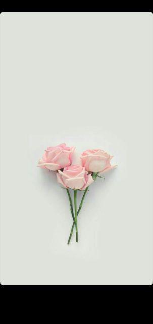 Kran Air Tembok Engkol Taman Cab - Keran Air Chrome Kamar Mandi Wc - Kran Tembok - Keran Tembok