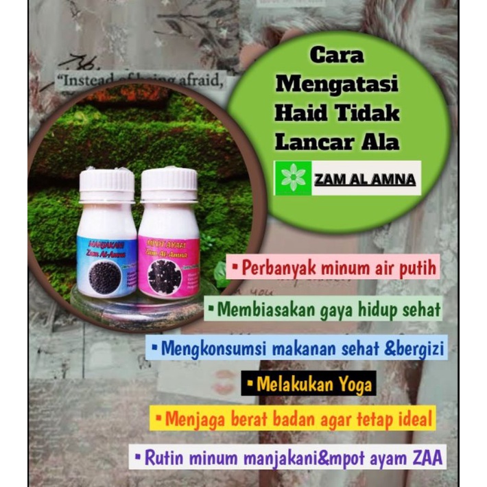 Manjakani Mpot Ayam Herbal Kuat Pria Wanita