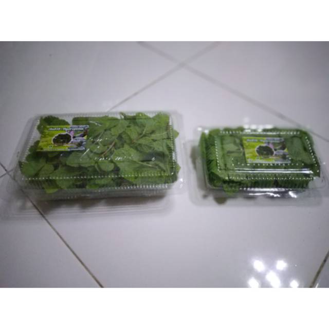 

Daun mint Segar