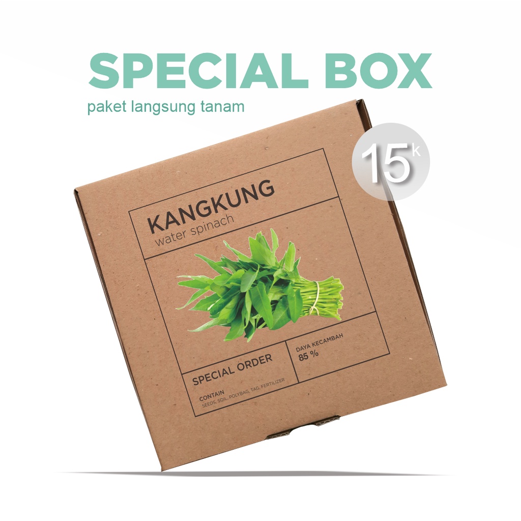 Paket Langsung Tanam - Gardening Kit - SPECIAL BOX - Benih Kangkung Super Seeds