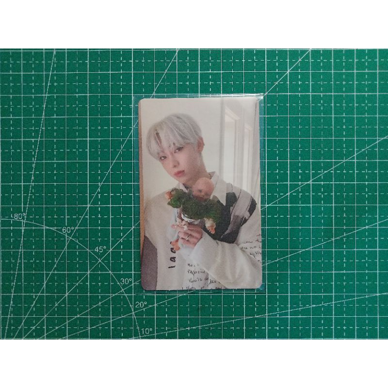 PC HYPE SUNOO BONEKA BORDER : CARNIVAL