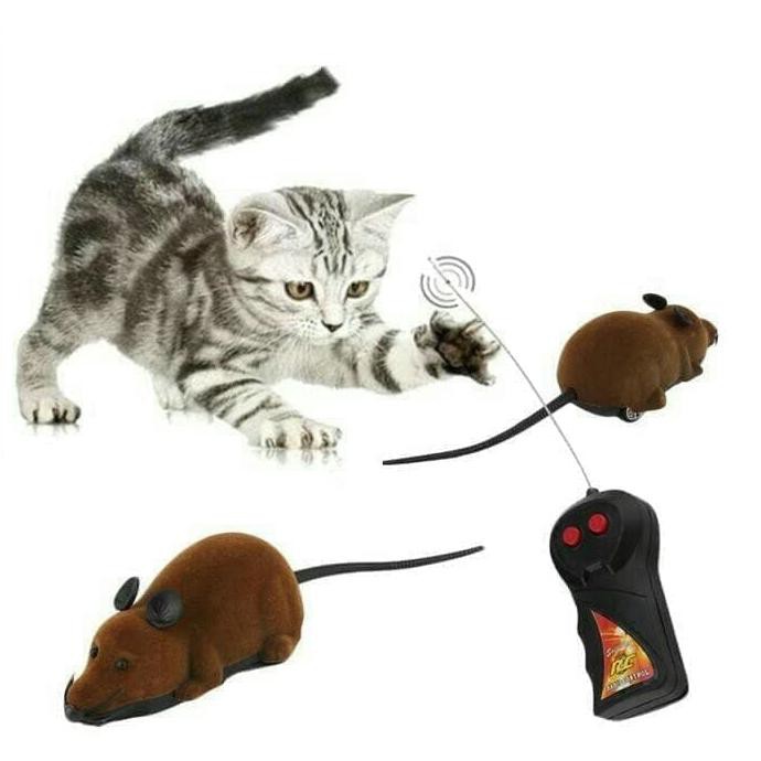 Shope/ Mainan Kucing Persia Peaknose Kampung Dome Anjing Tikus Remote Control