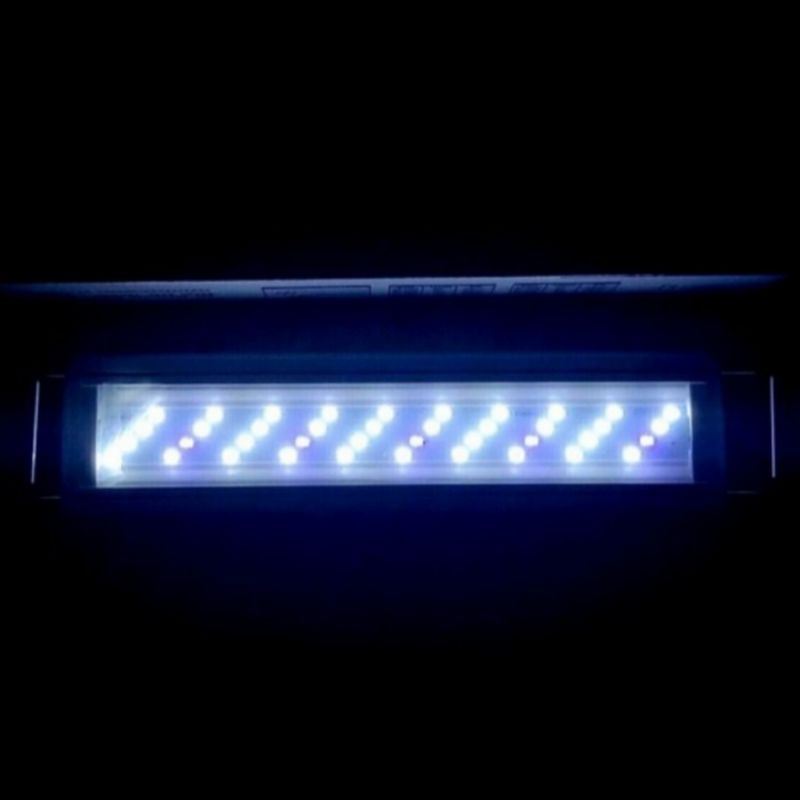 Led Roxin gx A 300 Lampu Aquarium biru putih 30cm